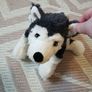 Soft toys dog x 2 Image 4