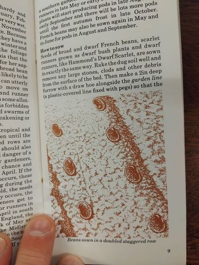 4 Letts Grow 1970s Books