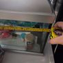 Elite Aquarium Image 7