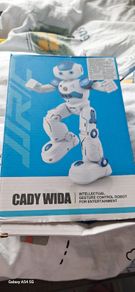 Toy Robot