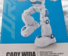 Toy Robot