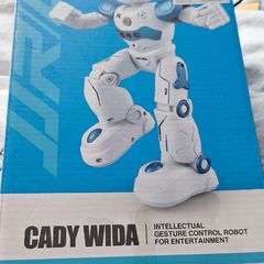 Toy Robot