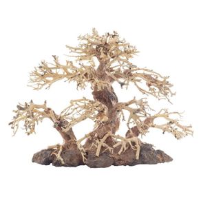 Bonsai Tree Medium