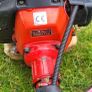 petrol hedge Image 2