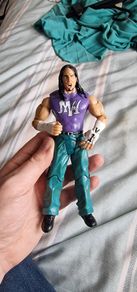 WWE Matt Hardy Figure