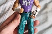 WWE Matt Hardy Figure