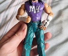 WWE Matt Hardy Figure