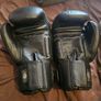 Twins Boxing Gloves Image 3