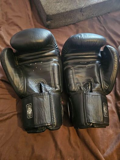 Twins Boxing Gloves