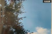Cloud Nothings - Turning On (LP, Album, Ltd, RE, Blue vinyl