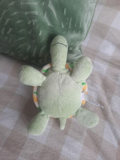 my first turtle