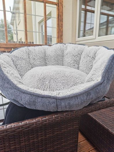dog bed