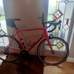 Merida scultura 400