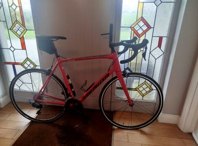 Merida scultura 400