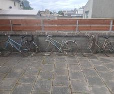 Vintage Bicycles
