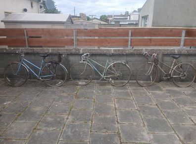 Vintage Bicycles