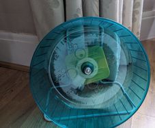 Small Animal Wheel