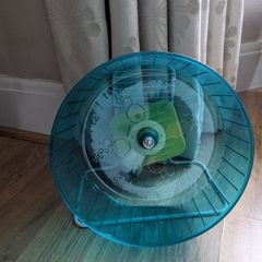 Small Animal Wheel