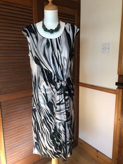 Planet Dress size 14