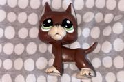 littlest pet shop (LPS) Great dane #1519 Authentic!!!