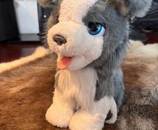 Hasbro FurReal pup Interactive  Ricky