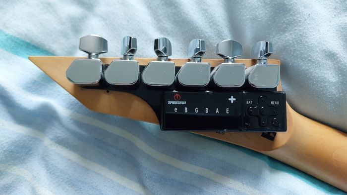 ESP Ltd Guitar + TronicalTune Tuner