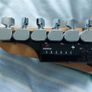 ESP Ltd Guitar + TronicalTune Tuner Image 4