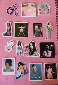 53 Olivia Rodrigo You Seem Pretty Sad For A Girl So In Love Era Matte Stickers