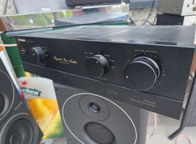 Pioneer a300x