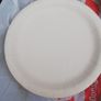 paper plate Image 3
