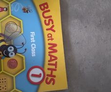 books 1 st class busy at maths 2nd mental Maths 9 euro for both