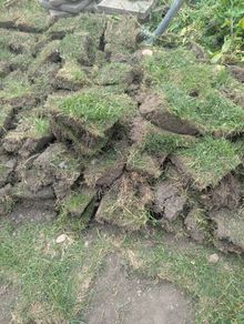 Grass slabs