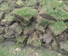 Grass slabs