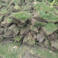 Grass slabs