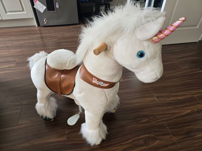 Ponycycle unicorn