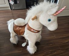 Ponycycle unicorn