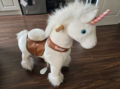 Ponycycle unicorn
