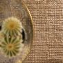 Kukoon Rug Image 4