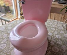 Pink potty