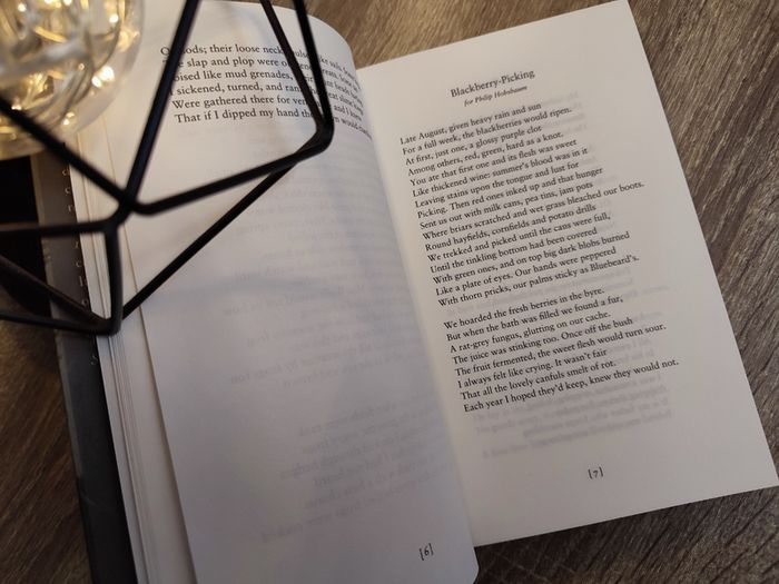 100 Poems ! by Seamus Heaney ! 2020 ! by Faber & Faber !