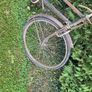bike Image 3