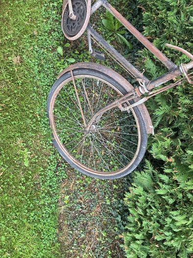 bike