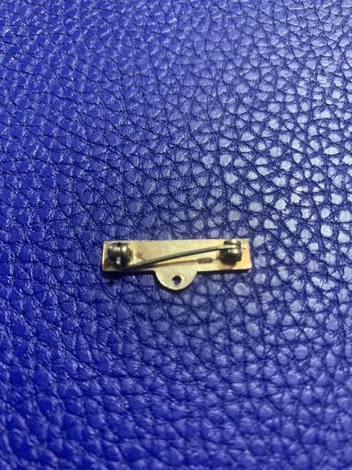 Sterling Silver Pin