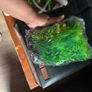 fish tank Image 5