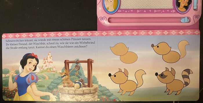Disney princess magic book