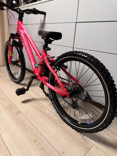 Merida Matts Kids Bike 20 inch