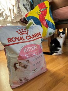 Royal Canin 10KG Kitten Dry Food/Kibble