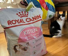 Royal Canin 10KG Kitten Dry Food/Kibble