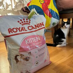 Royal Canin 10KG Kitten Dry Food/Kibble