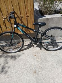 Boys bike